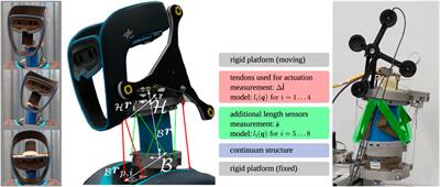 Fault-Tolerant Six-DoF Pose Estimation for Tendon-Driven Continuum Mechanisms